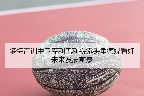 多特青训中卫库利巴利崭露头角德媒看好未来发展前景